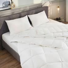 Brinkhaus The Celeste Down Touch Pillow Soft