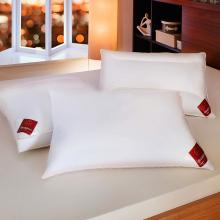 Brinkhaus The Jade Box Edged Pillow, European White Goose Down