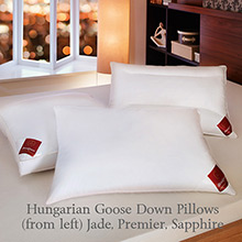 Brinkhaus The Jade Box Edged Pillow, European White Goose Down