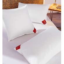 Brinkhaus The Down Surround Pillow MEDIUM