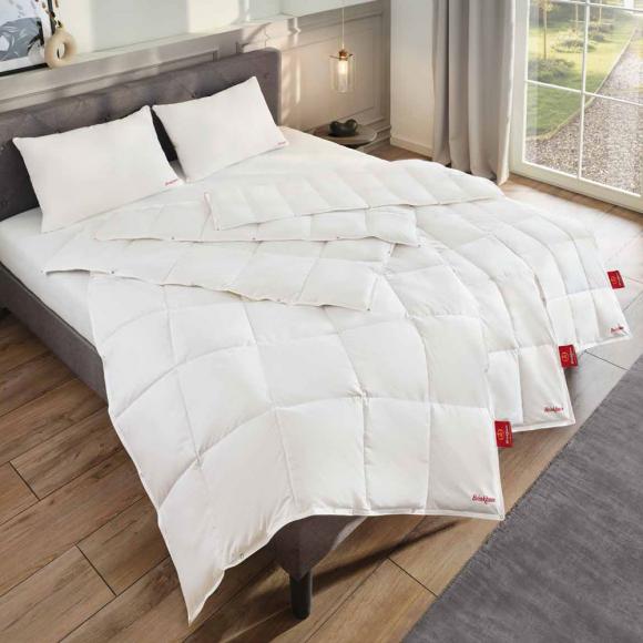 Brinkhaus The Celeste Down Touch Pillow Soft